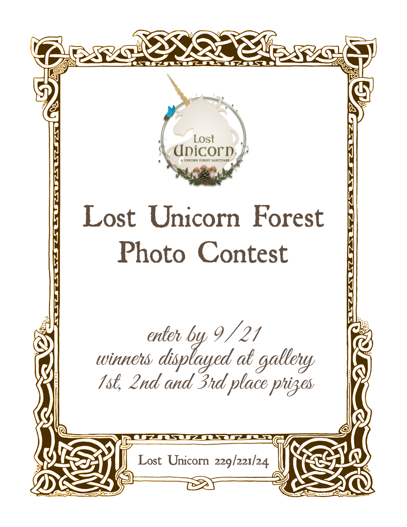 Lostunicornphotocontestsign